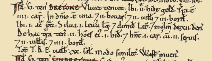 Latin description of Brereton in difficult to read text