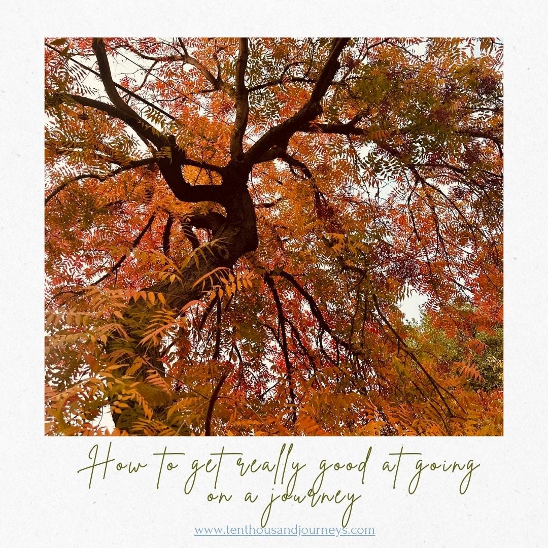 Image of a tree with orange fall leaves accompanying an article on how to get really good at  going on a journey