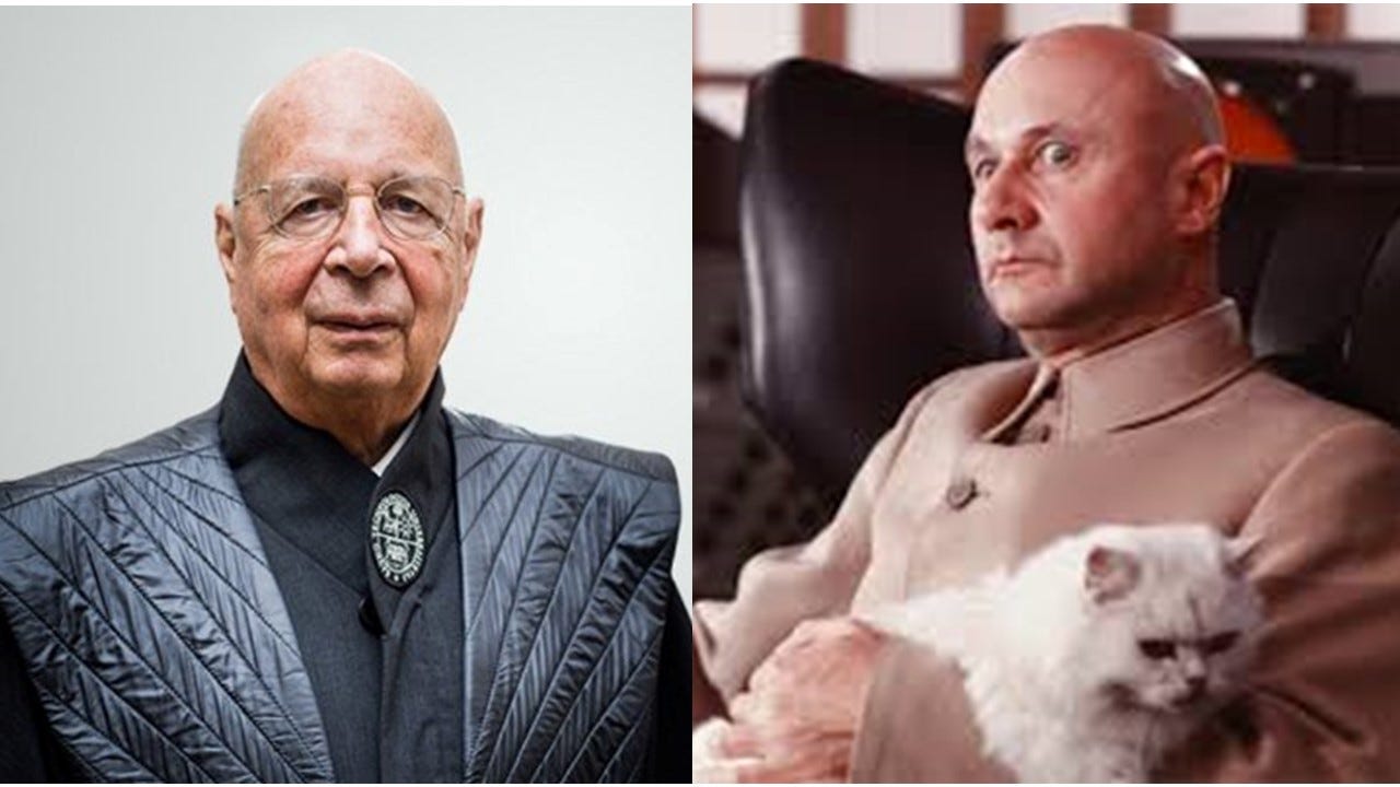 James Perloff on X: "Put a white cat on the lap of Klaus Schwab of the  World Economic Forum, and he'd make a great Blofeld. Wikipedia describes  the Bond villain Blofeld as “