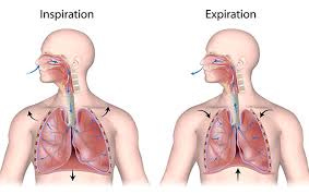 Breathing Techniques | Bronchiectasis ...