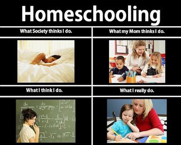 https://perfectdaytoplay.com/wp-content/uploads/2021/01/homeschooling-homeschool-meme-jokes-humor-cartoon-quarantine-homeschooler-00018.jpg