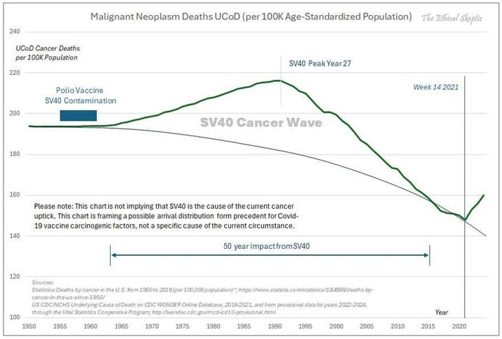 malignant neoplasm deaths