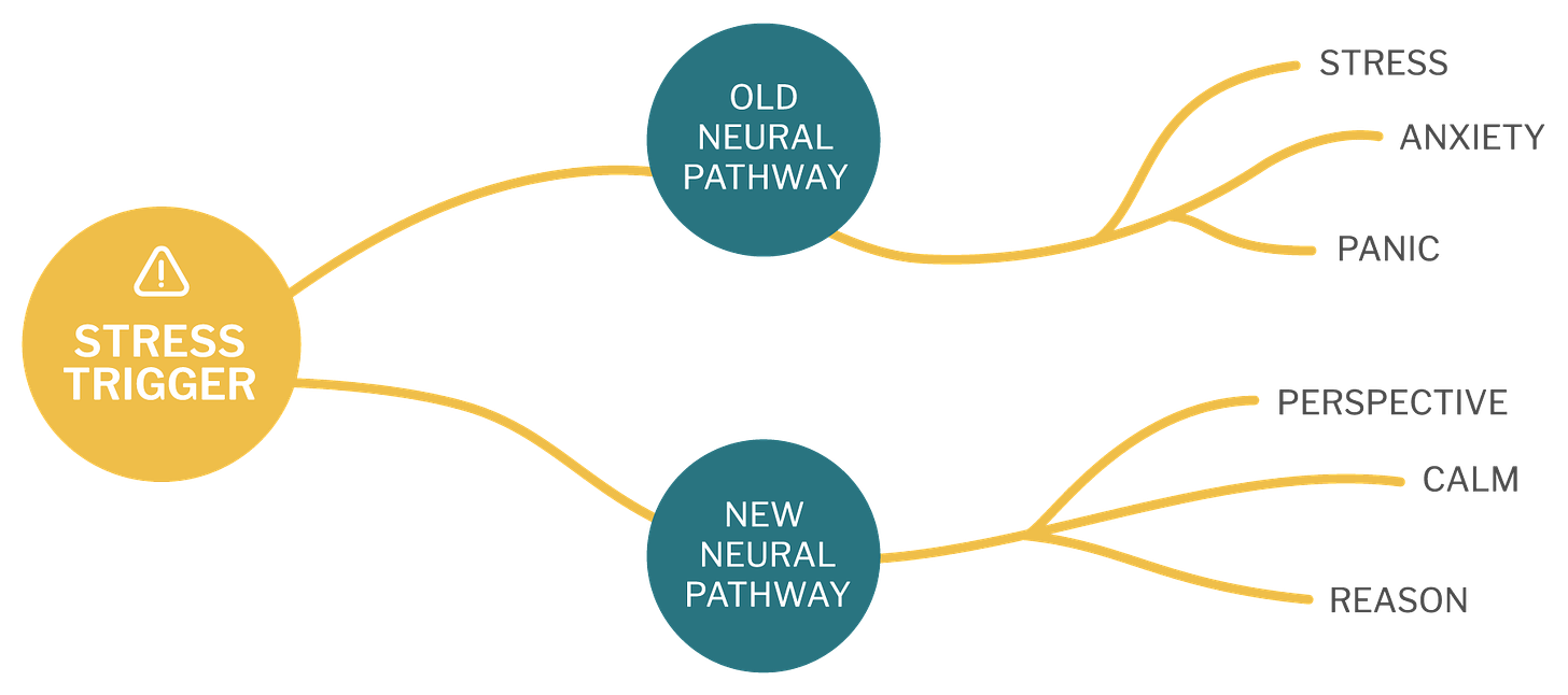 neural-pathways-4 - Current Meditation
