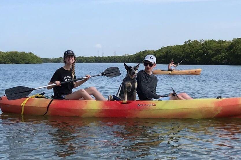 Scout the Australian cattle dog kayaking in Fort DeSoto park in Florida with her two humans