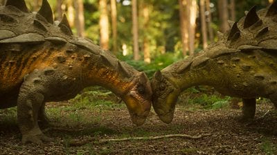 Two relatively small spiny dinosaurs with horns with their heads pressed together in a forest