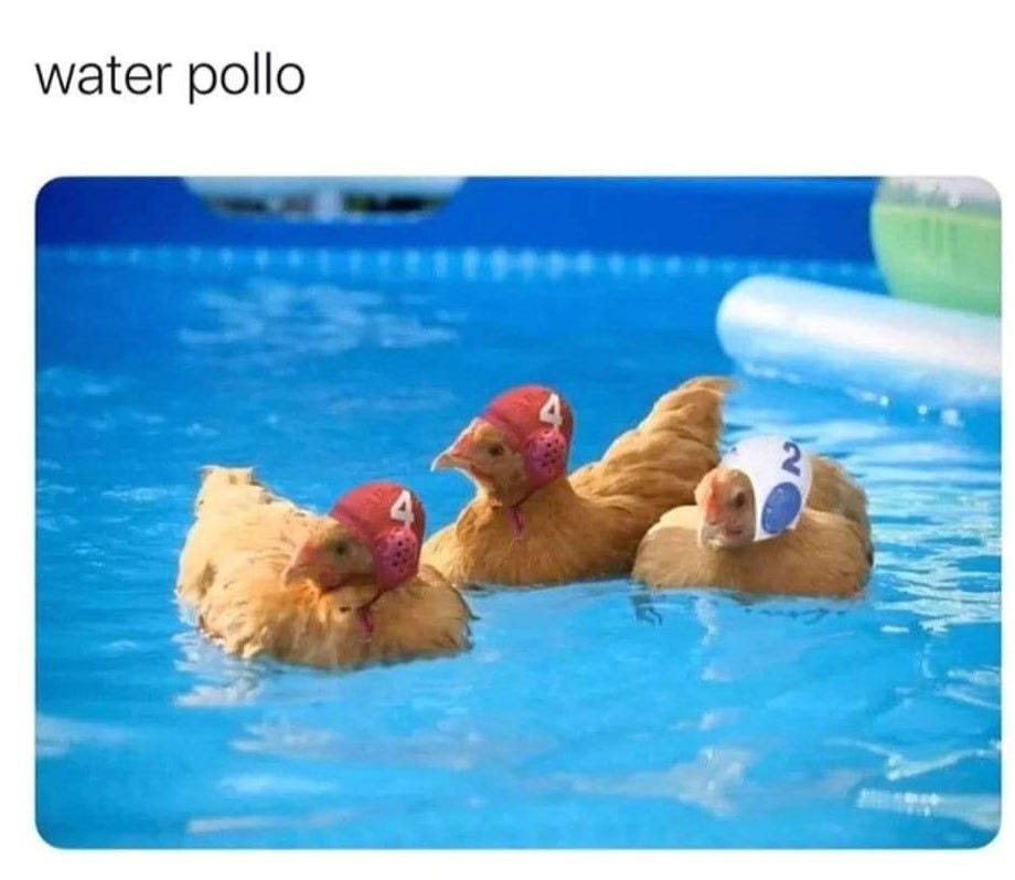 May be an image of swimming and text that says 'water pollo 2'