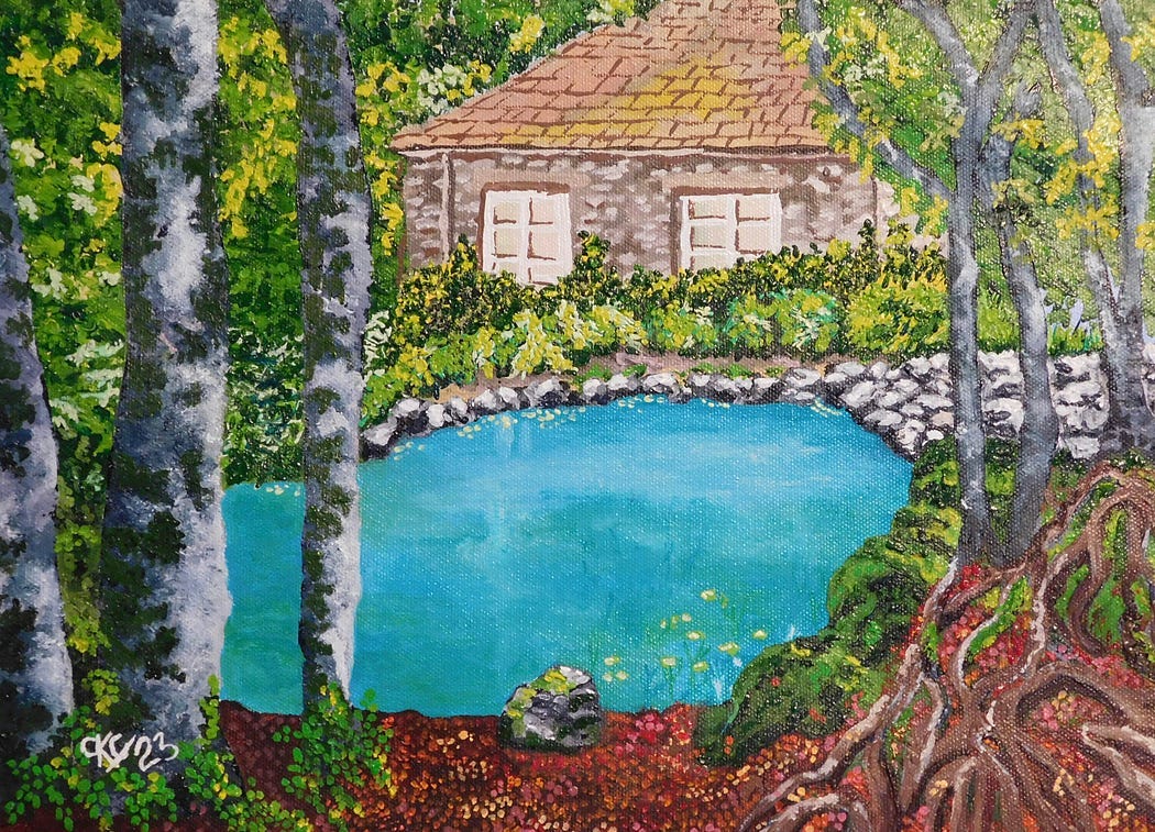 scenery of a cottage by a pond.