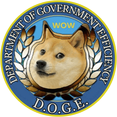 Department of Government Efficiency (DoGE) | Tax Project Institute