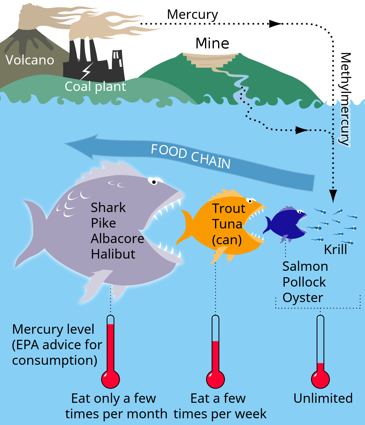 Mercury in fish - Wikipedia