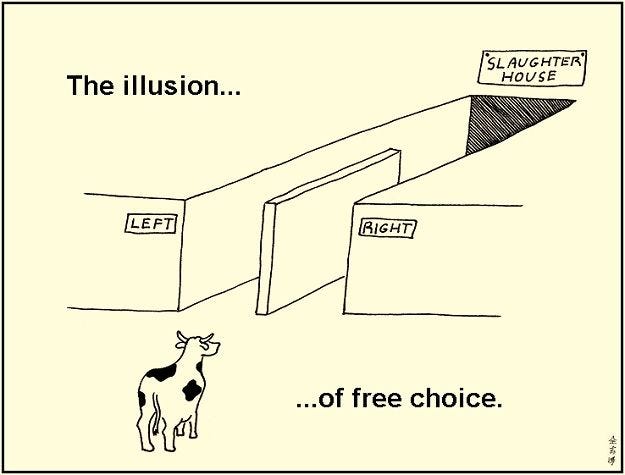 A cow sees two paths: a left one, and a right one. It thinks it has a choice, but it is unaware that both paths join together, and lead towards the slaughter house (a metaphor for the protection racket).
