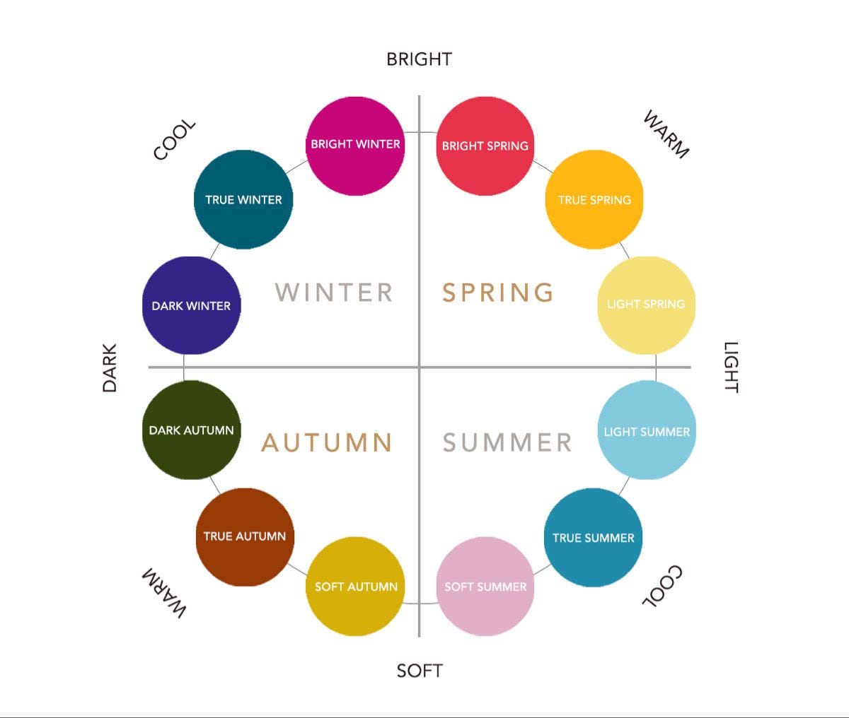 Discover Your Season in the Twelve Seasons Color Analysis