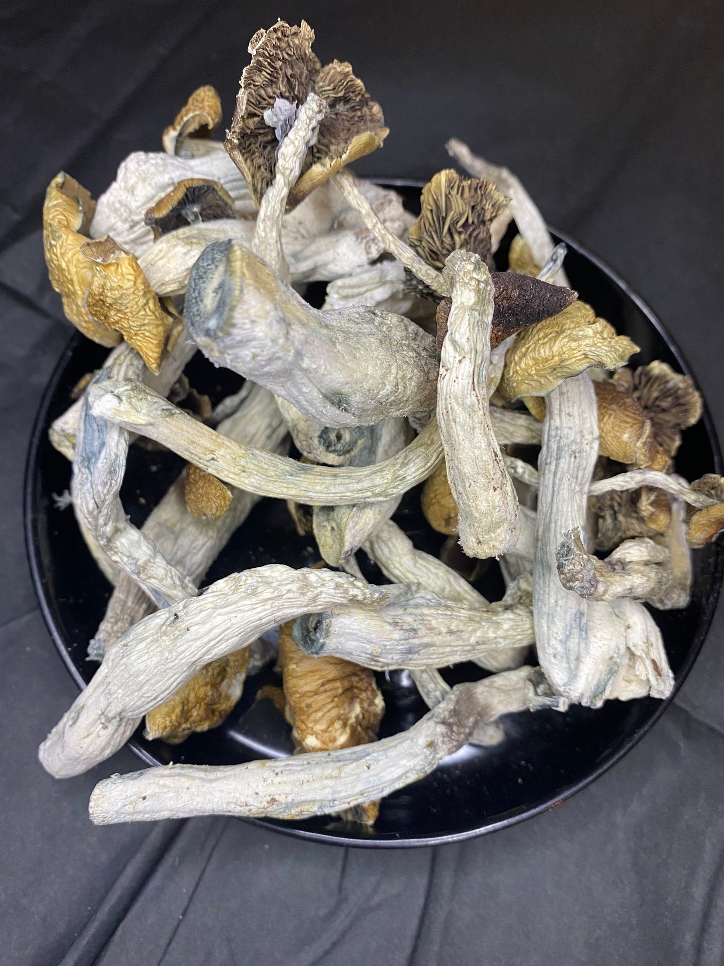 QuadCityTO Mushrooms Co. FollowTheGreenParrot.ca