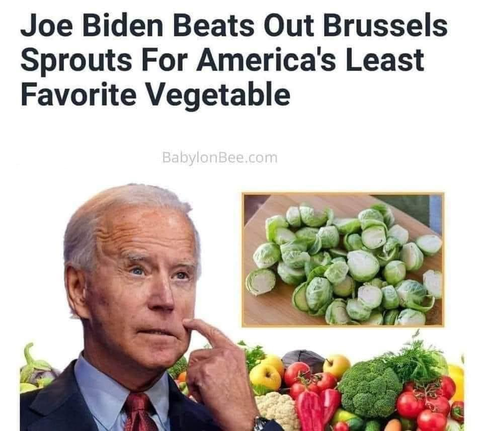 May be an image of 1 person and text that says 'Joe Biden Beats Out Brussels Sprouts For America's Least Favorite Vegetable BabylonBee.com'