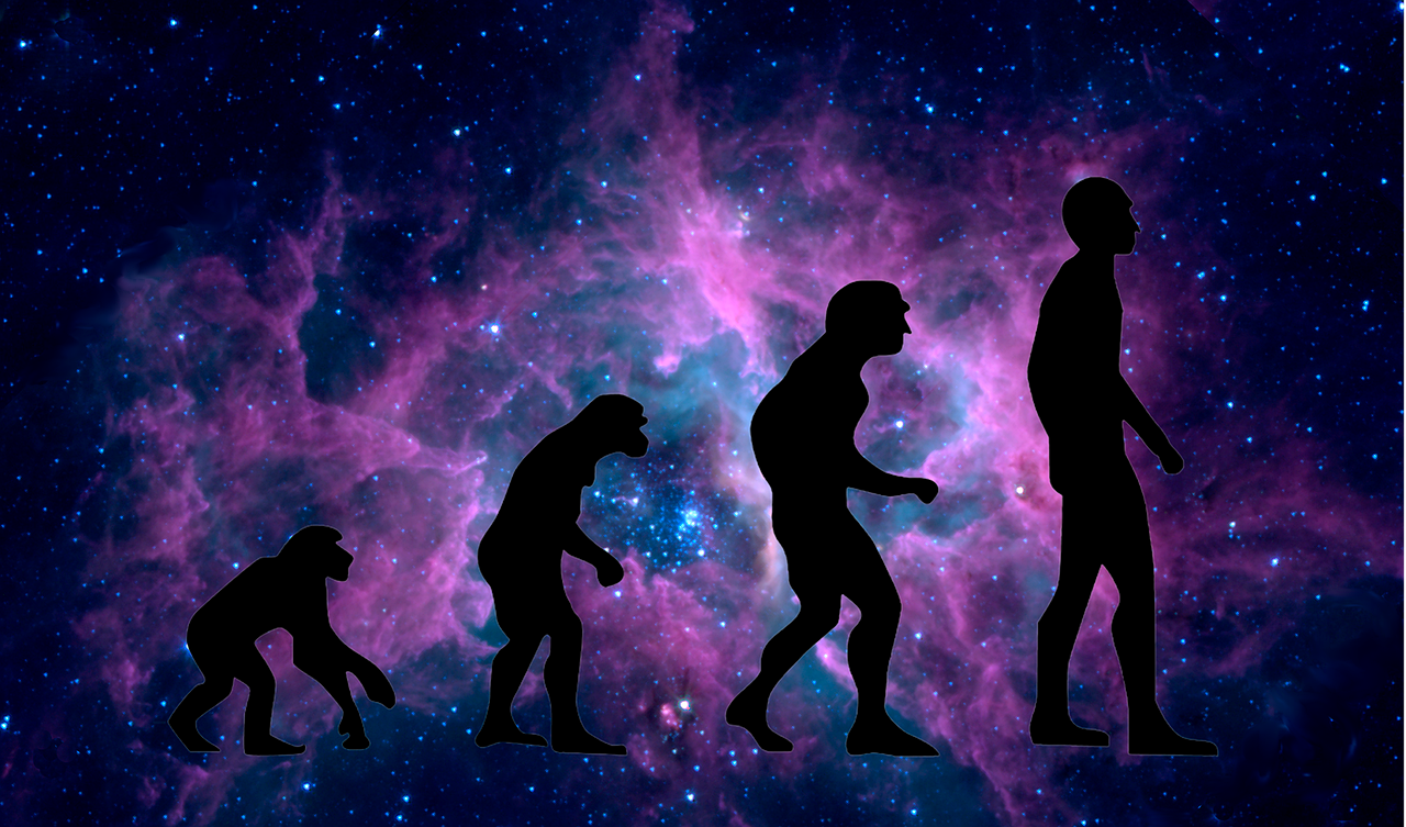 Evolution Entwicklung Menschheit - Kostenloses Bild auf Pixabay