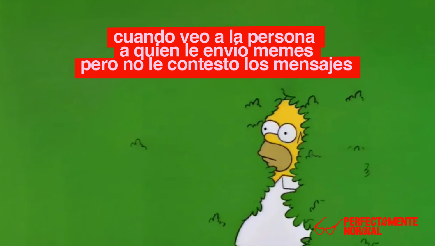 cuando veo a la persona a quien le envío memes pero no le contesto los mensajes