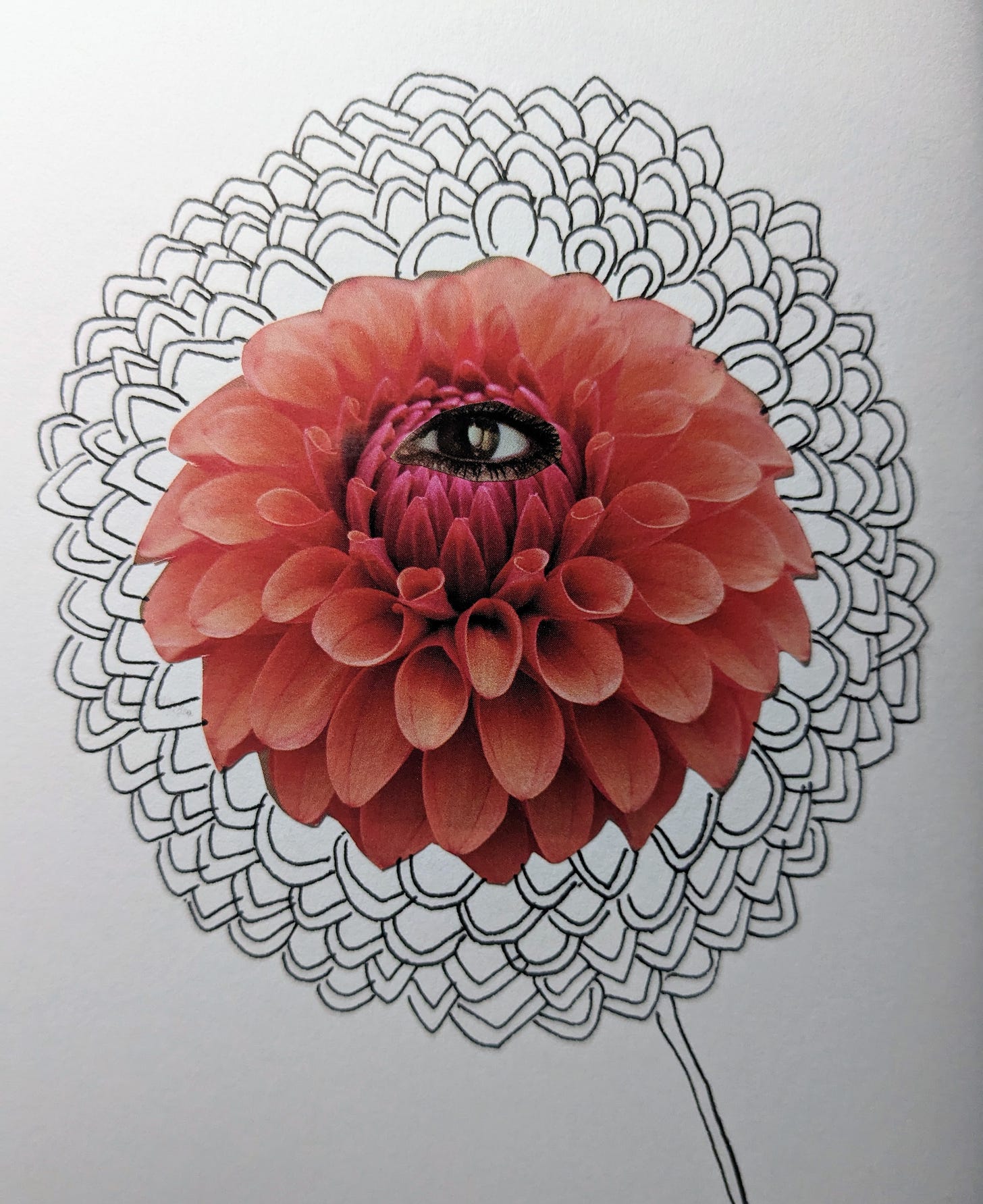 Collage, pen and ink image by Sophie of a flower with an eye at the centre