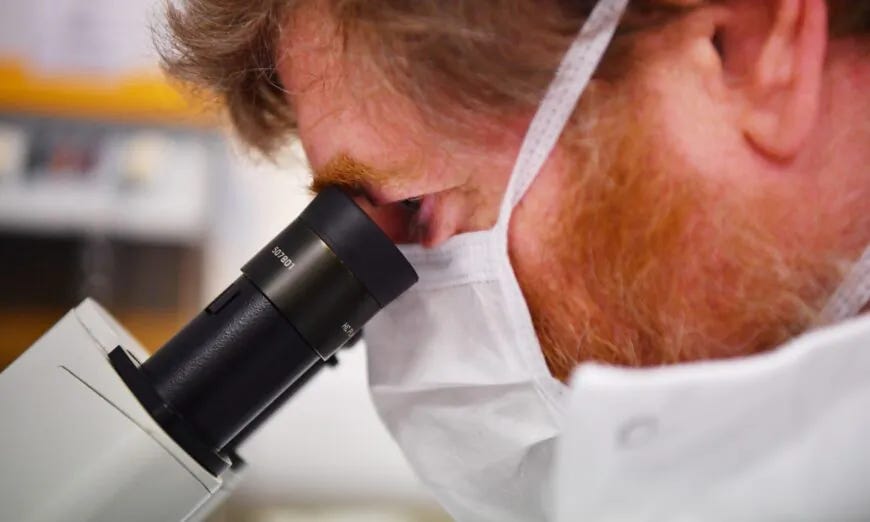 Un scientifique utilise un microscope pour examiner les cellules contenant le nouveau coronavirus SARS-CoV-2 au laboratoire Stabilitech à Burgess Hill dans le sud-est de l'Angleterre le 15 mai 2020. (Ben Stansall/Getty Images)