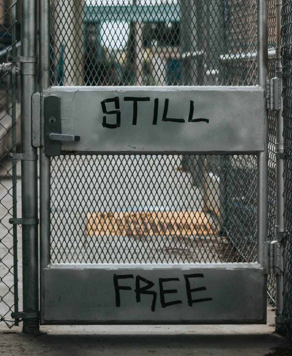 selective focus photography of closed mesh gate with still free paint selective focus photography of closed mesh gate with still free paint