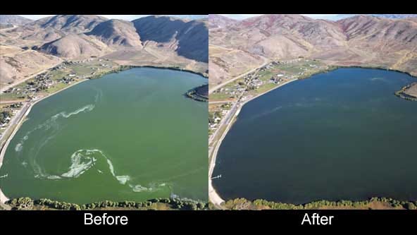 Before and after images of body of water treated for algal bloom