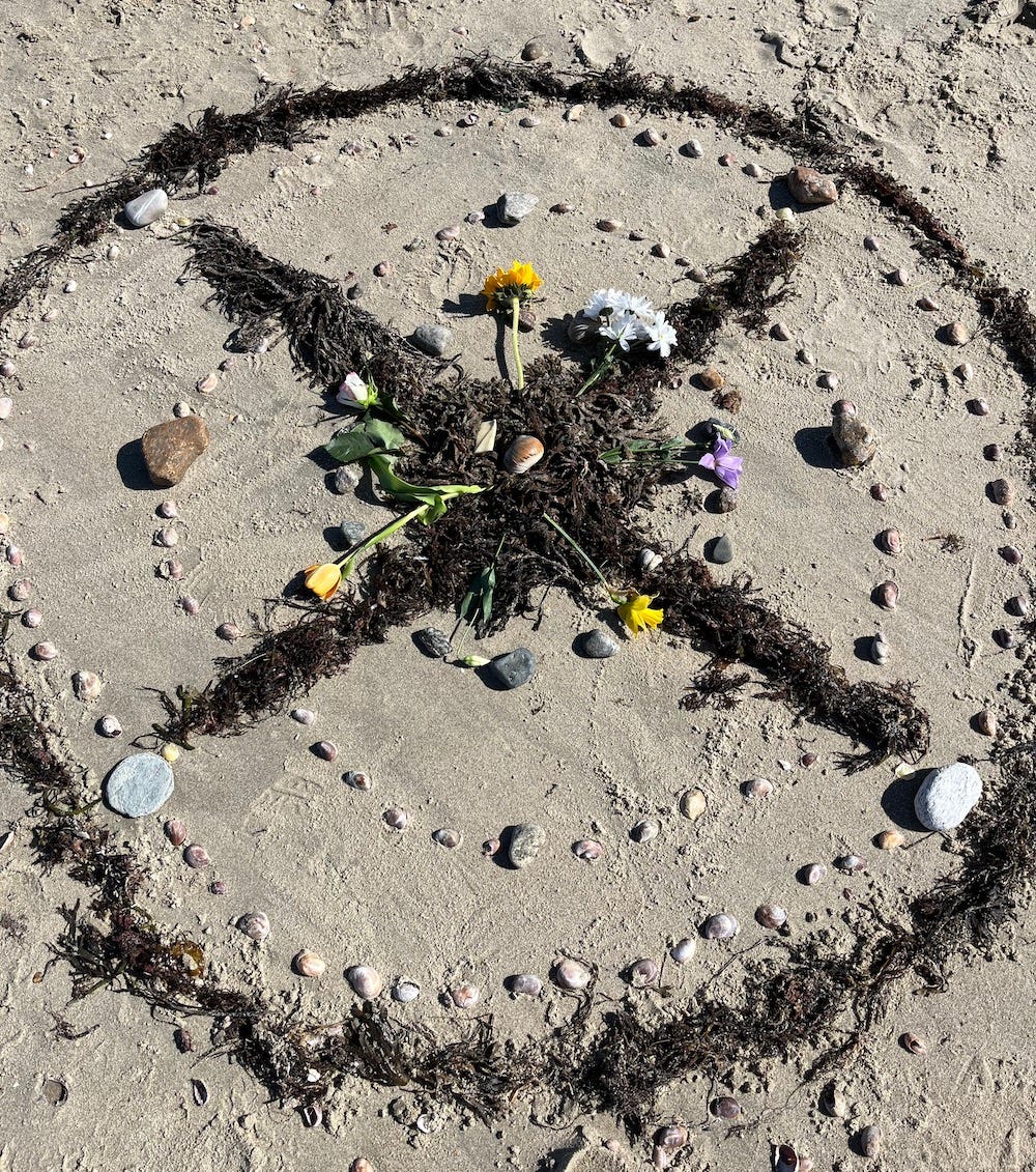 A mandala made of seaweed, shells, and stones, with white, yellow, and purple flowers in the center.