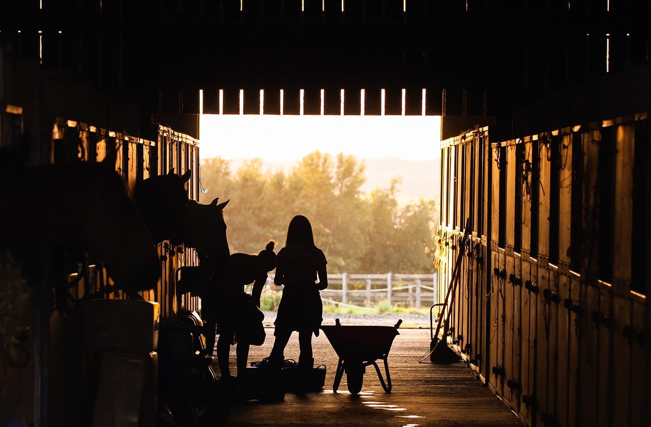 silhouette of teen girl in barn with horses and wheelbarrow