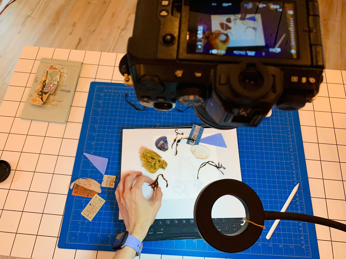 A photograph of Gracie's process, showing her camera pointing straight down at her desk, where she is placing objects on a piece of paper laying on top of her iPad, with the digital sketch showing underneath.