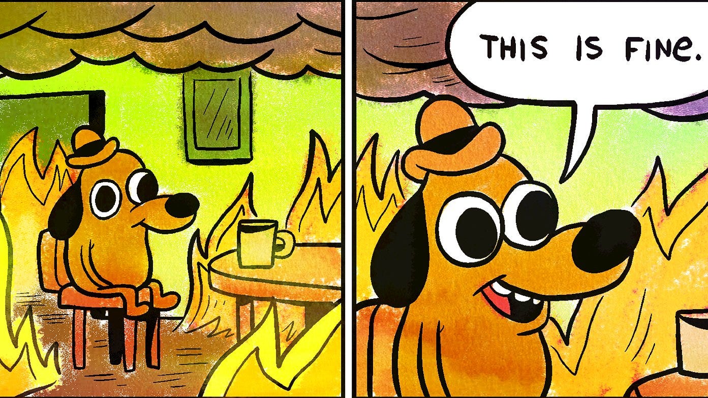 Why 'This Is Fine' Is the Meme This Year Deserves - The New ...