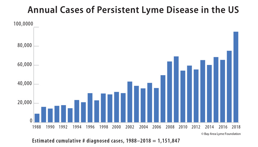 cases of persistent lyme 20 yrs rev 1 2021 4