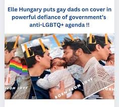 Beauty of Love🏳️‍🌈❤ on Instagram: "The Hungarian version of Elle magazine  has put a pair of gay dads and their child on its front cover, in a defiant  move amid the country's