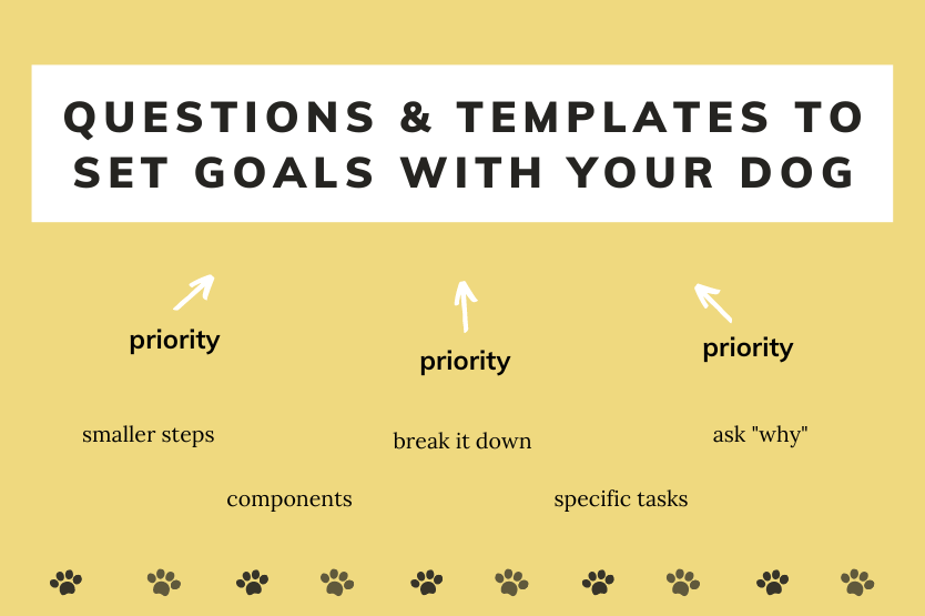 Questions & Templates to Set Goals With Your Dog in black text in a white box on top of a pale yellow background