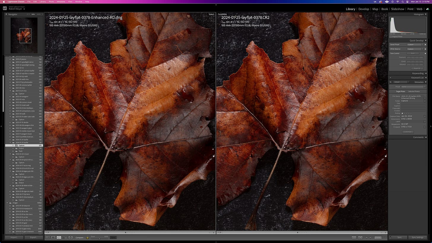 Lightroom RAW details results