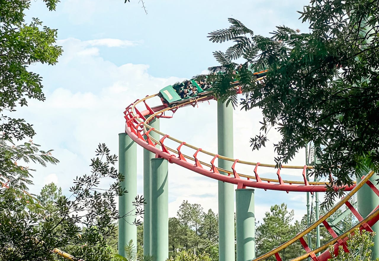 anaconda roller coaster at kings dominion peaking through the trees