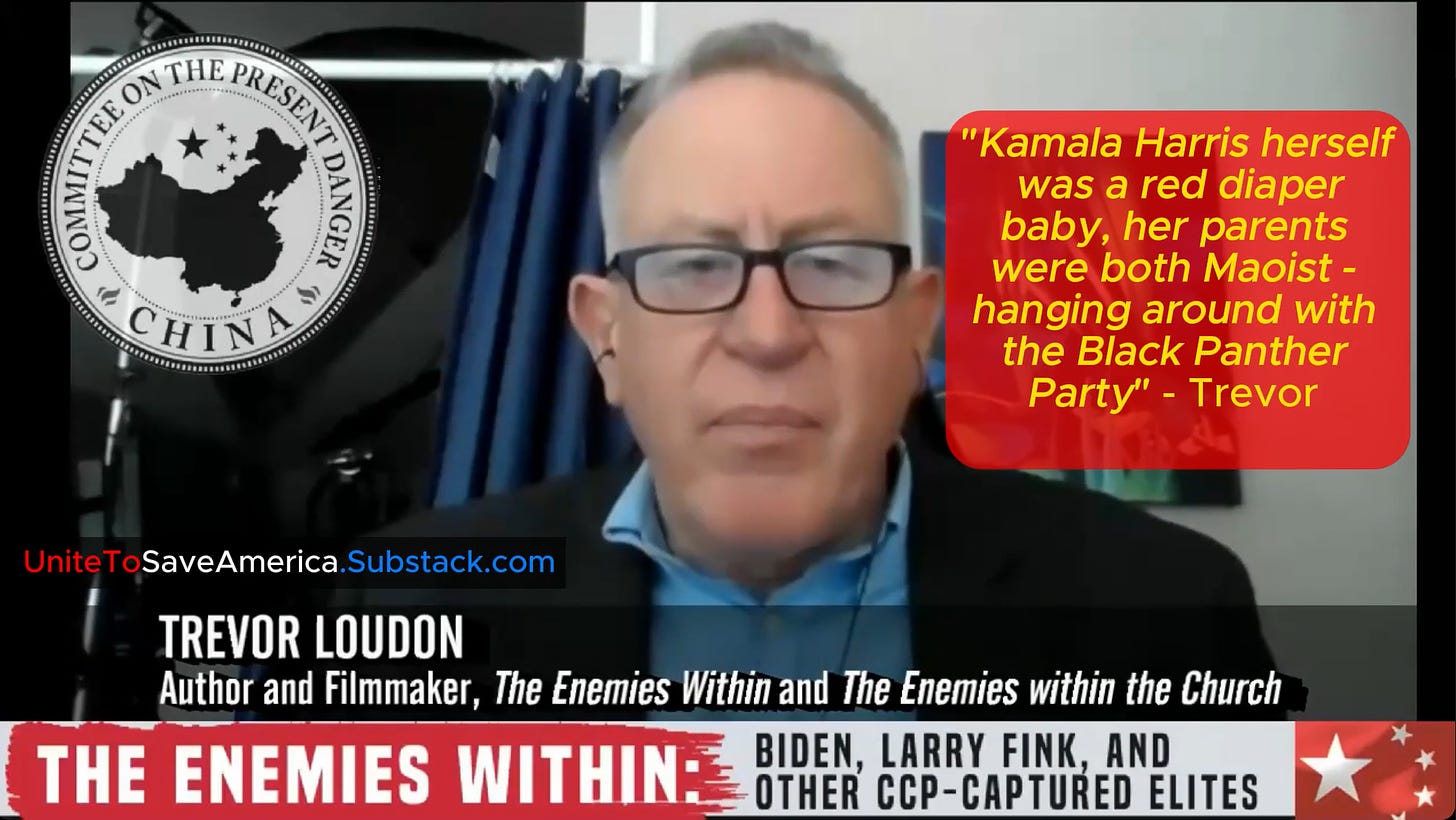 Image of Trevor Loudon on camera with the caption highlighting her radical ideological background and its impact on Democrat policies.