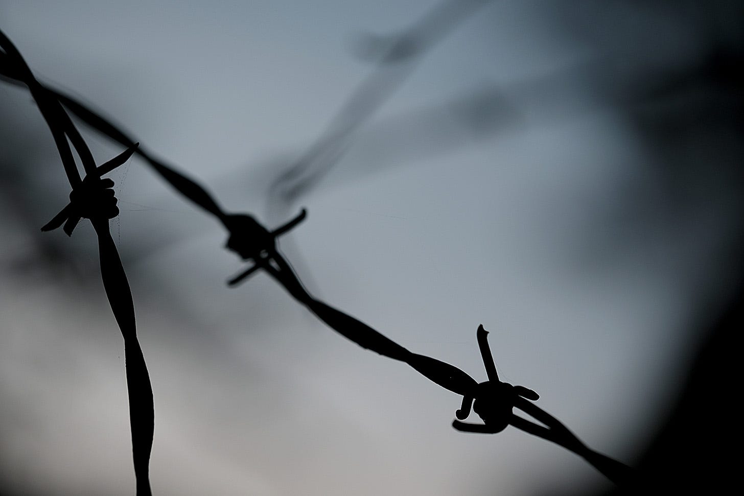 Twisted strands of old barbed wire backlit against the sky