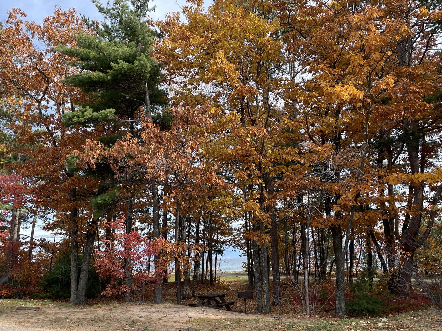 Autumn trees lining a lakeshore