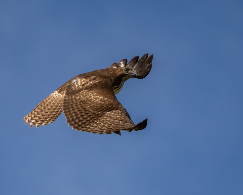 20240218-Yuma-277-Edit.jpg