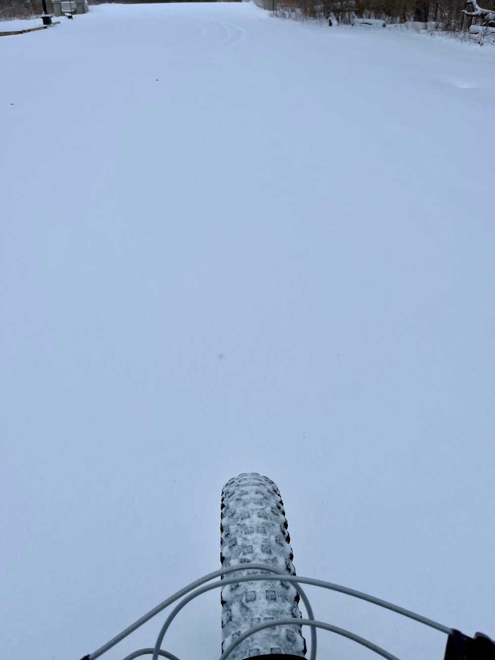 IMG_8730.JPG IMG_8730.JPG