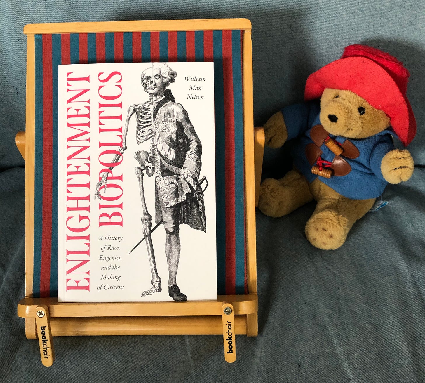 Book on a bookchair next to Paddington Bear in his usual floppy hat and duffle coat.
