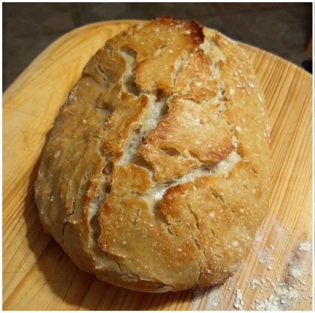 dutch oven bread loaf / Hali Karla