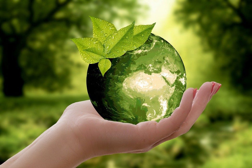 Green earth with leaves in palm of hand.