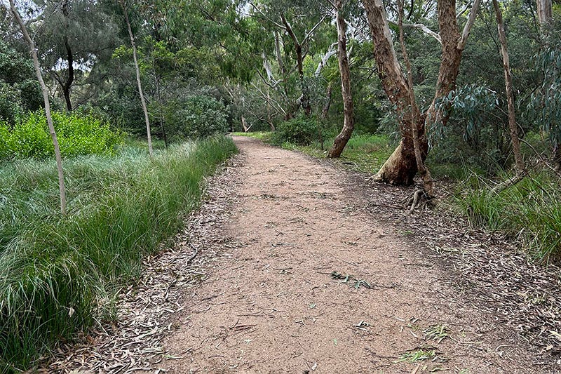 A path through bushlands.