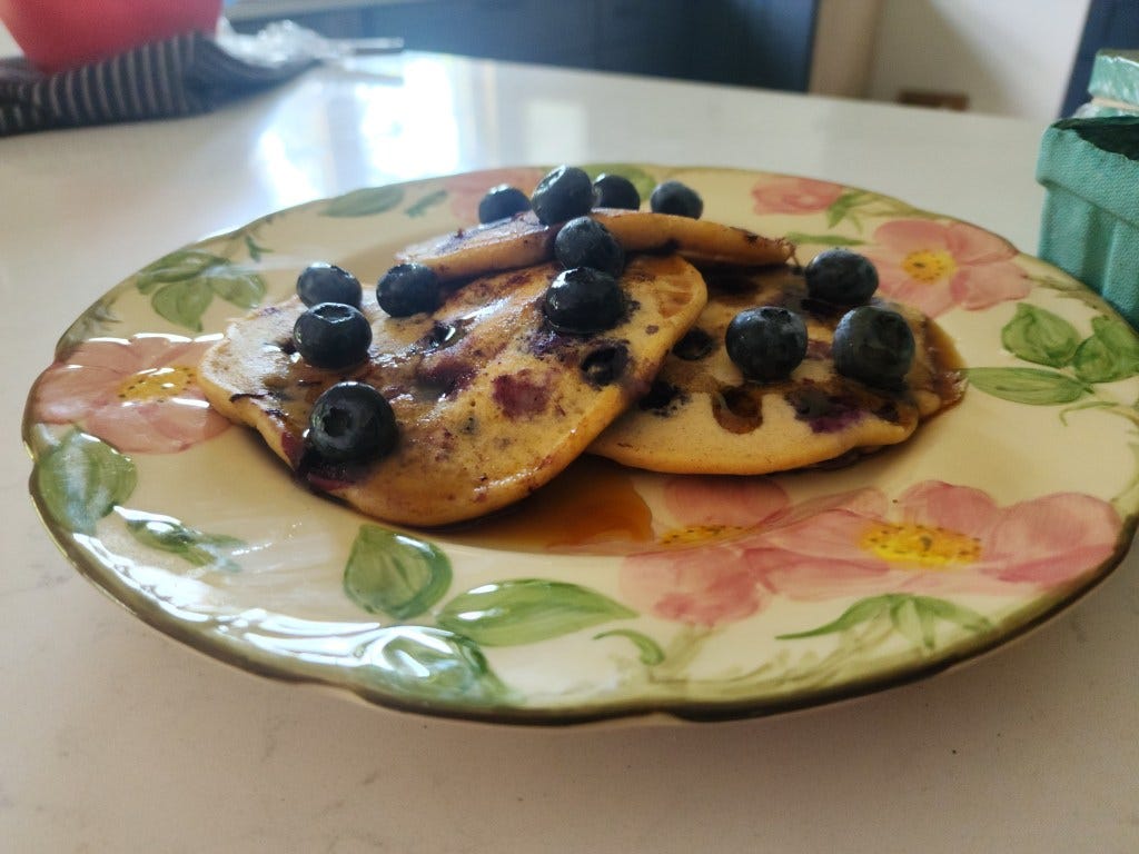 What’s in Season: Sweet and juicy blueberries are ready to eat at Almy-Thurston Farm in Portsmouth