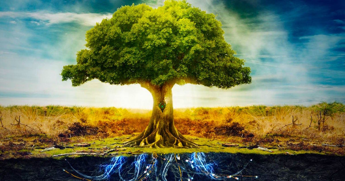 Honoring Our Ancestors Outdoor Celebration – EVERYTHiNG SOULFuL