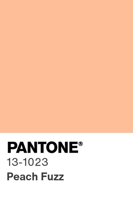 PANTONE® USA | PANTONE 13-1023 Peach Fuzz | Pantone Color of ...