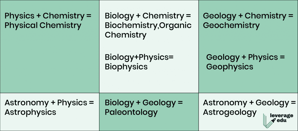 Branches of Sciences - Physical, Earth & Life Sciences | Leverage Edu