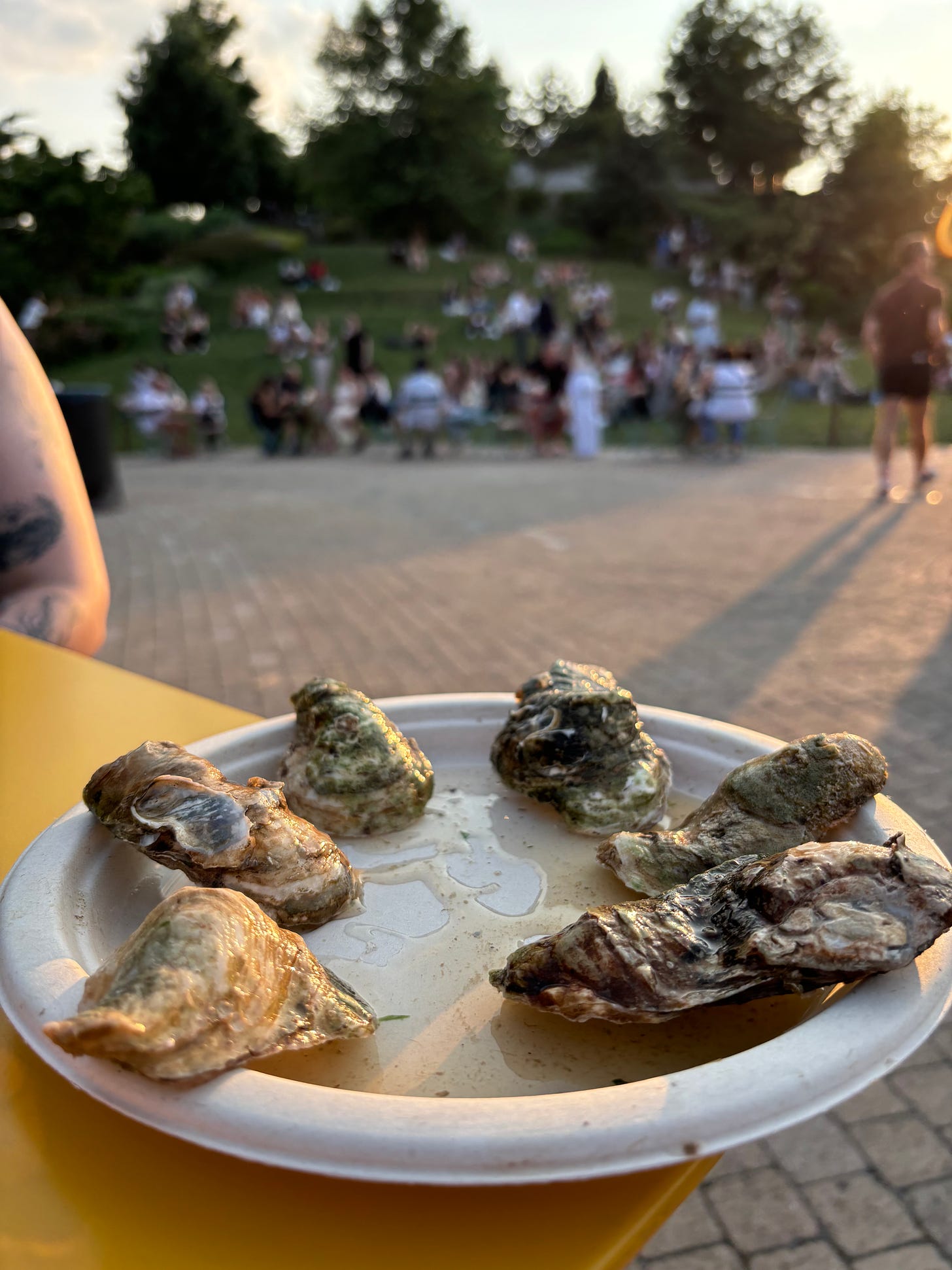 Six upside down oyster half-shells sit on a paper plate on a yellow table. There is a tattooed arm to the left. Out of focus is a green hill full of people sitting, enjoying the sunshine and the oysters.