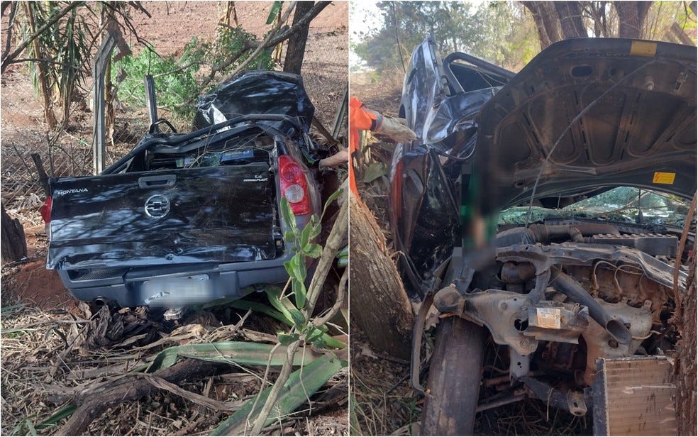 Filho e mãe morrem em após caminhonete bater em árvores na estrada entre Fama e Alfenas, MG — Foto: Corpo de Bombeiros