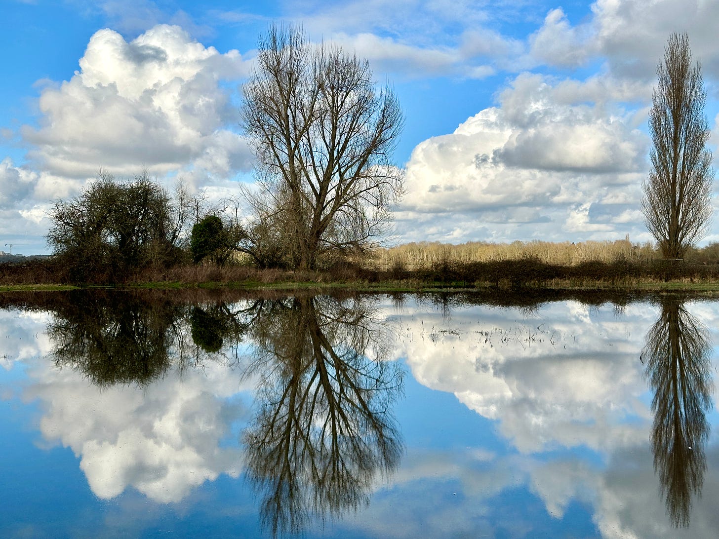 A blue winter sky with billowing clouds is reflected in a the mirror-like water of a flooded field.