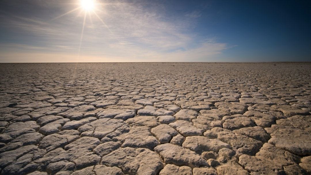 The importance of water