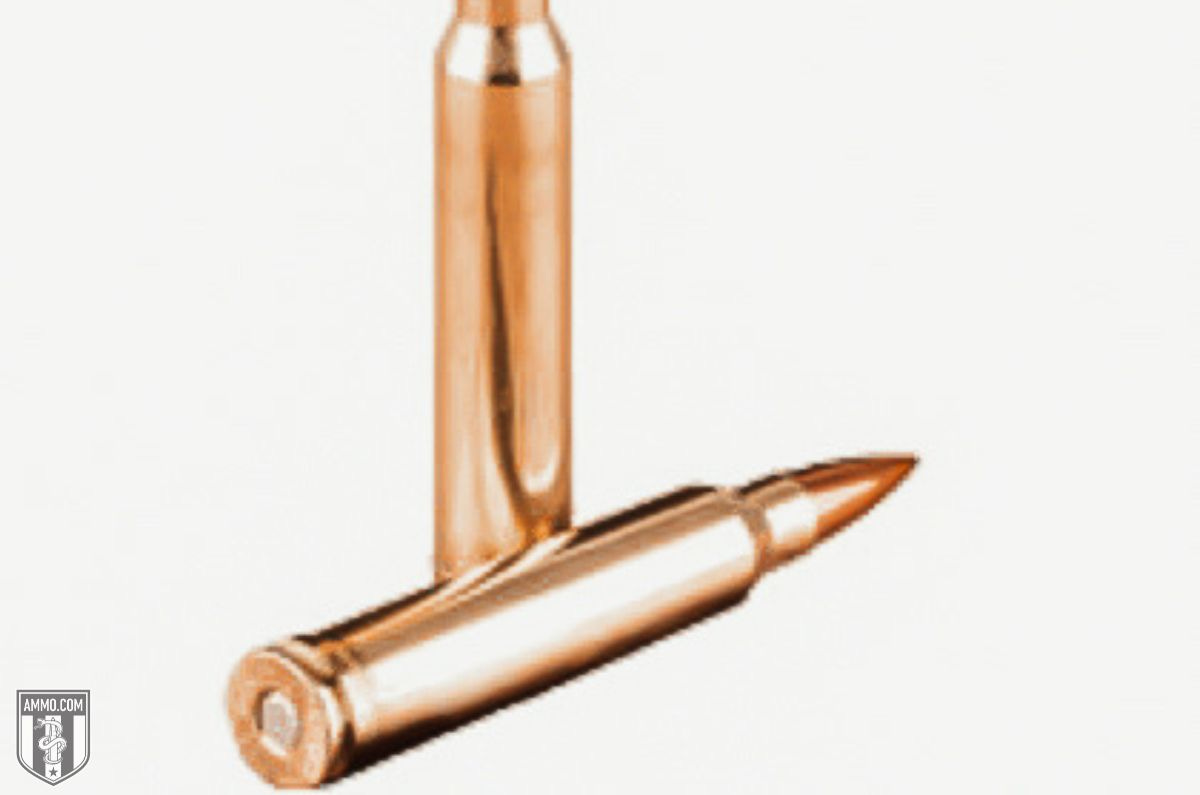 Winchester ammo for sale